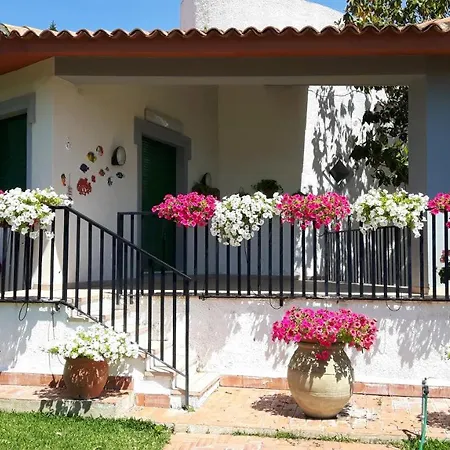 Iaia